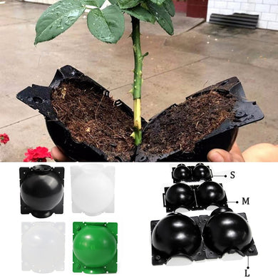 5 Pcs Plant Root Growing Box